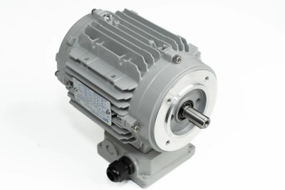 Двигатель продольный Laser Eagle S90 (Xidi) FC71A2-0.37KW