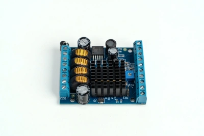 Модуль голосовой LMD507