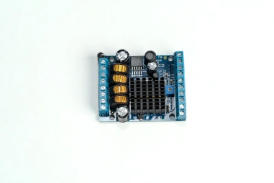 Модуль голосовой LMD507